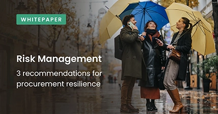 Cover image for whitepaper on risk management